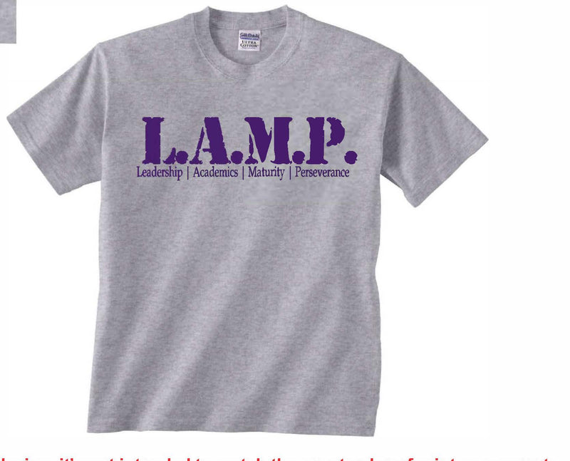 Grey L.A.M.P Principles Tee